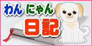 �u�t�����̃u���O